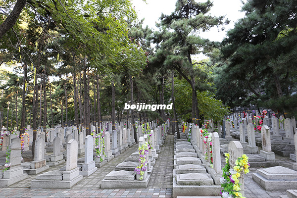 北京周边墓地灵山宝塔陵园罗汉园艺术立碑价格是多少？