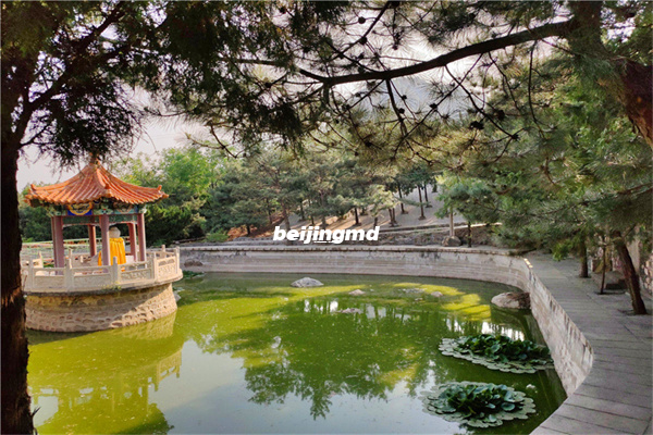 九龙山陵园在八达岭长城的什么方位？北京九龙山公墓价格多少？
