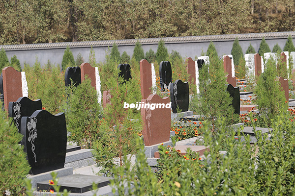 北京有什么地方可以树葬？北京生态葬树葬花葬墓园有哪些？