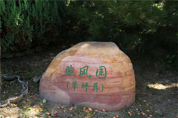 北京周边墓地灵山宝塔陵园树葬多少钱