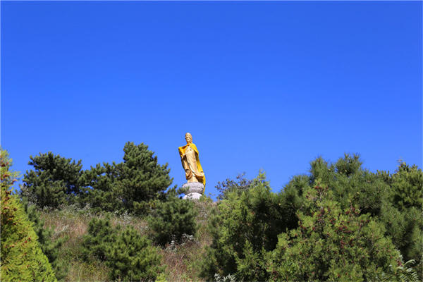 从寿坟到生态葬,杭州开启新模式