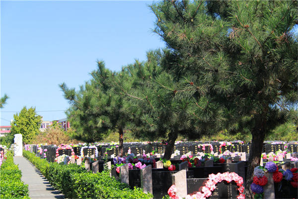 北京市哪里有花坛葬