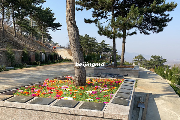 潮白陵园夏日送清凉关爱暖人心