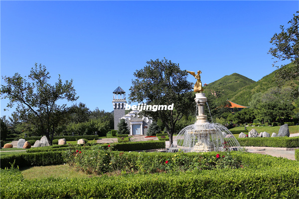 致敬默默无闻守护生命尽头的殡葬人！