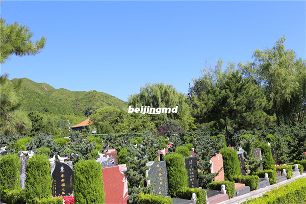 北京墓地里低价位的树葬陵园墓地有哪些呢？