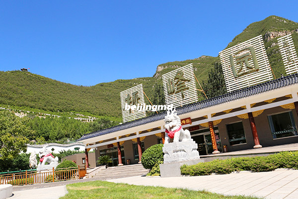 北京市八宝山殡仪馆“青清女子整容班”在市全国巾帼文明岗经验交流及汇报展示活动中一展风采！