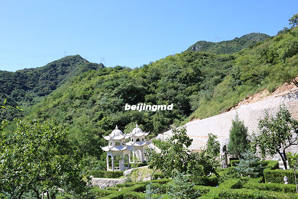 种花种草等多种形式推动北京节地生态葬