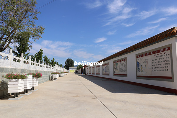 桃峰陵园公墓地址在哪有班车吗？