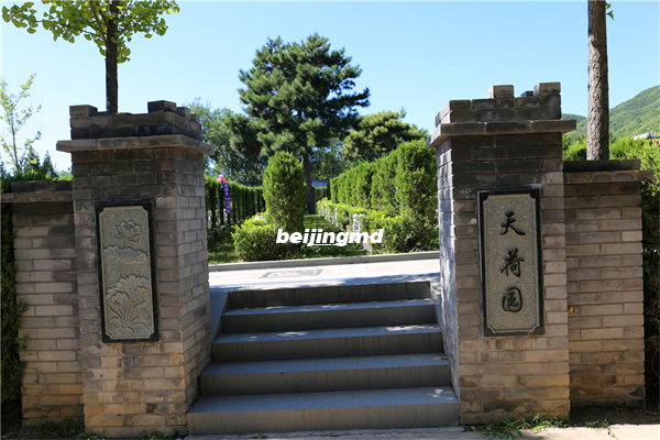九公山长城纪念林有限公司隶属泰康吗？九公山长城纪念林有哪些优势？
