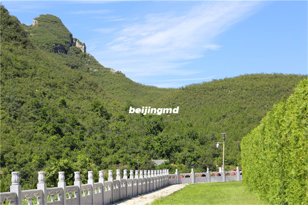如何前往中华永久陵园选墓？中华永久陵园地址
