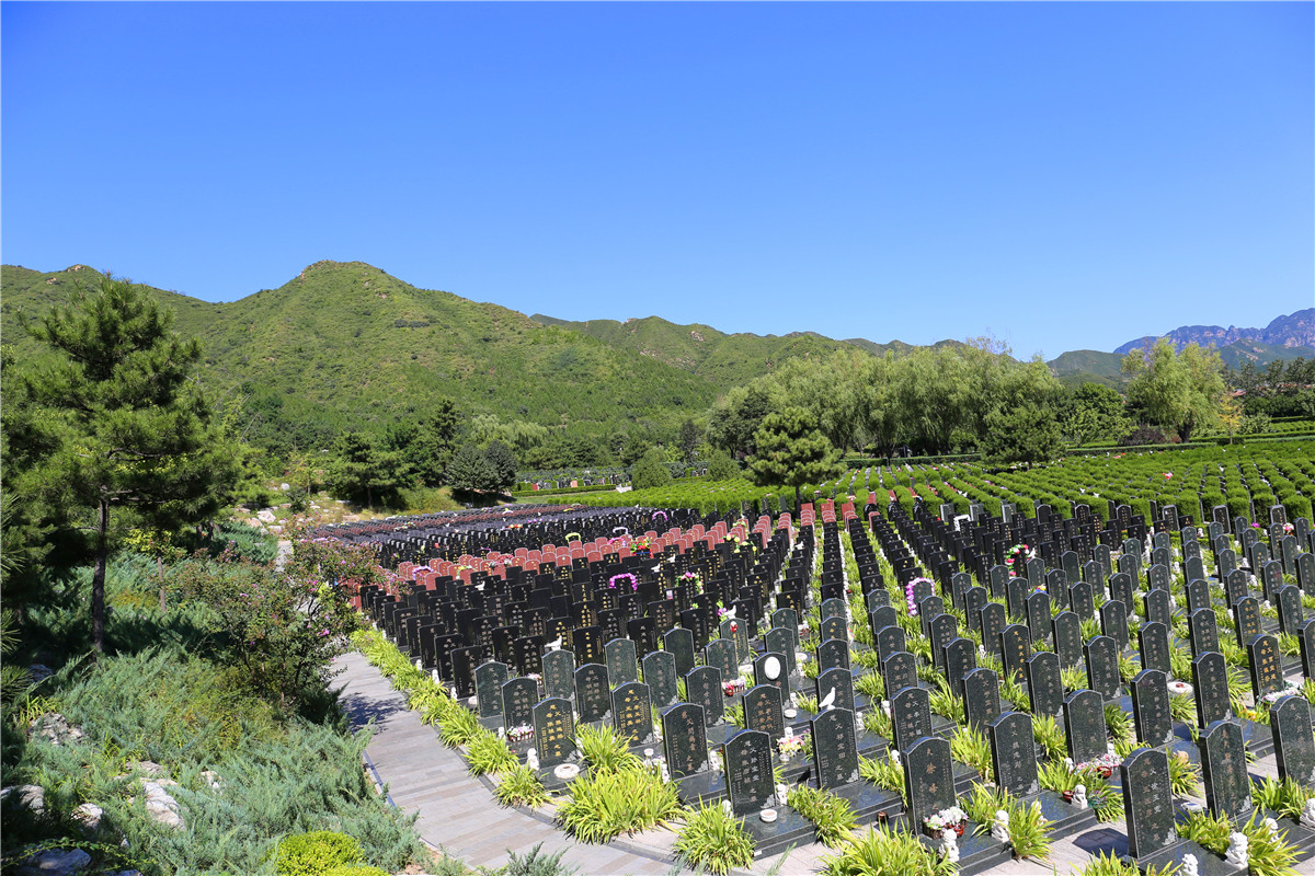 昌平九里山和天寿公墓价格哪个性价比高？