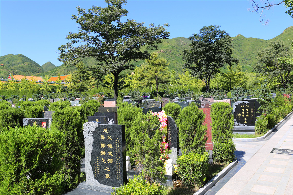 中华永久陵园还有墓地吗最新消息