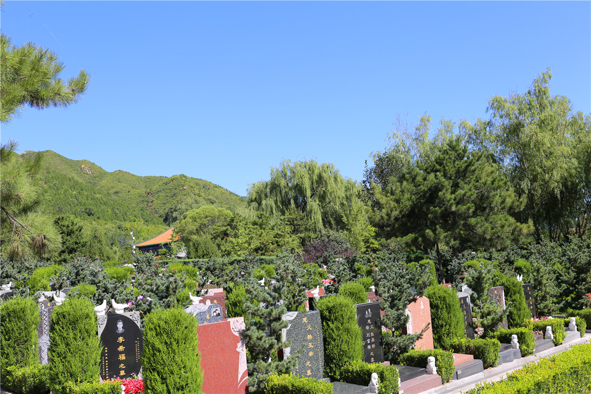 天山陵园班车往返多少钱