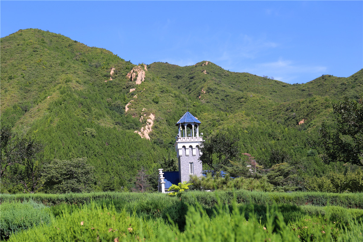 天寿陵园艺术葬价格多少-2