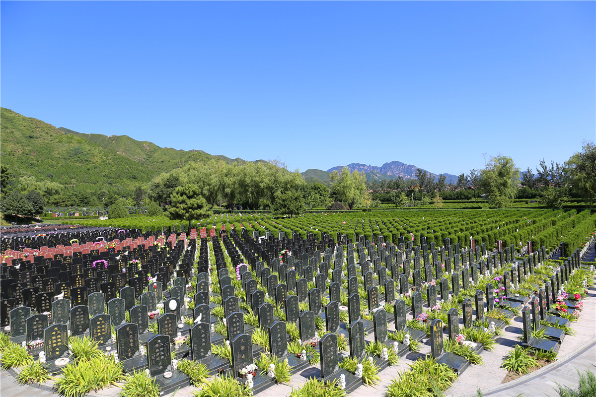 金山陵园墓地价格多少钱