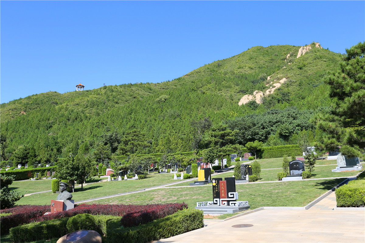北京八达岭陵园墓地树葬
