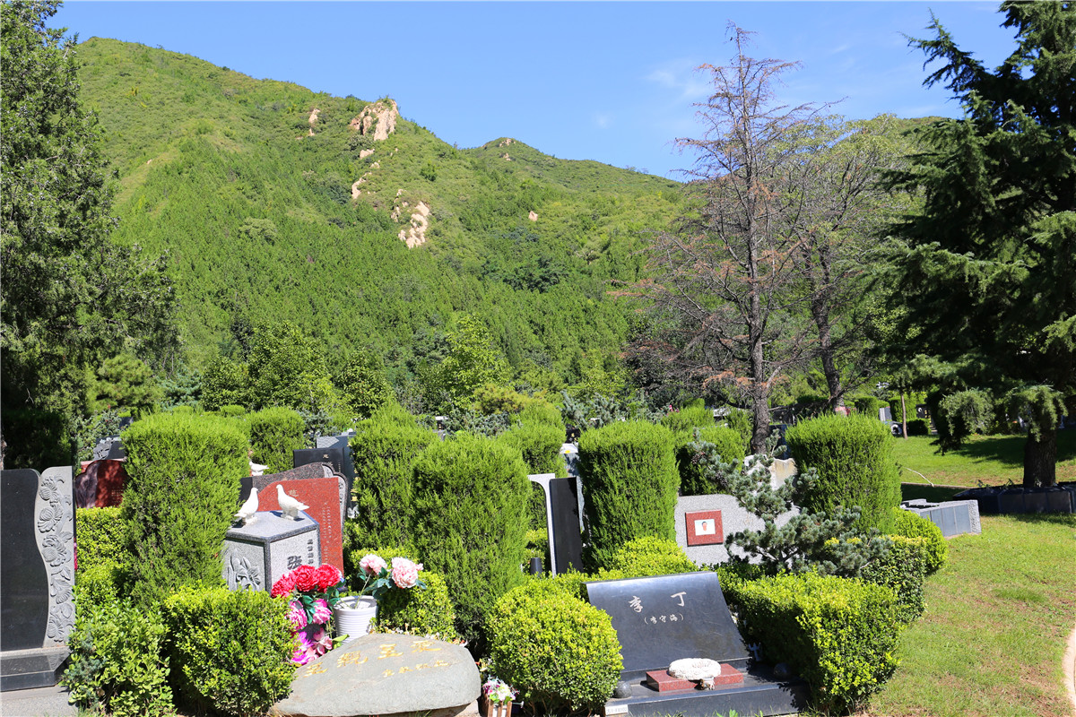 佛山陵园墓地在哪-2