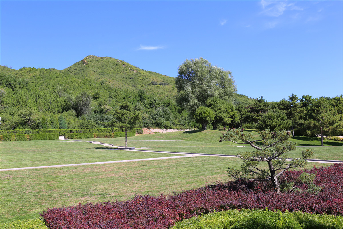 炎黄陵园墓园价格如何