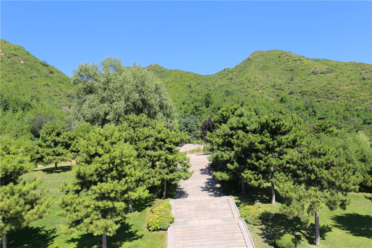 万佛华侨陵园墓地费用