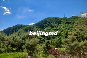 昌平佛山陵园怎么去