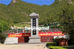中华永久陵园公交车情况