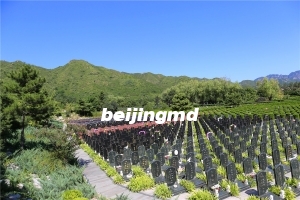 西静园公墓最贵墓地价格表