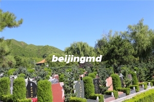 长安园骨灰林墓地网站预约