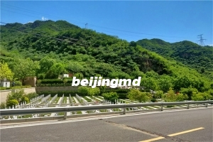 北京朝阳陵园最新墓地价格多少钱？