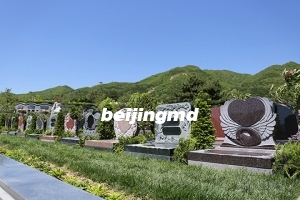 思亲园陵园有直达公交路线吗？