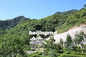 北京市朝阳区有哪些公墓？