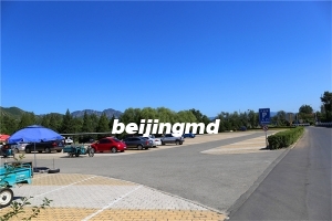 思亲园陵园在什么地方？思亲园公墓的价格多少？