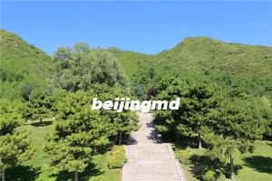 凤凰山陵园双墓穴价格