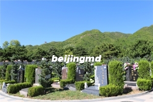 凤凰山陵园墓地多钱