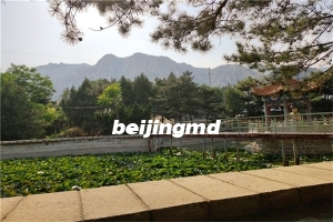 昌平兴寿镇有几家墓地？哪家墓地上风上水好？