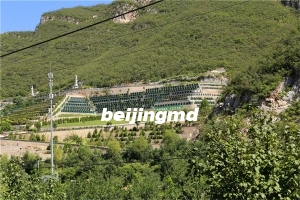 海淀101中学附近的陵园叫什么？价格多少钱？