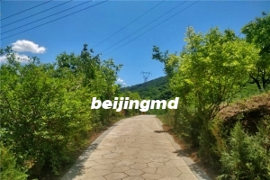西静园公墓有多少墓地面积