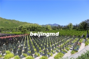 北京金山陵园公墓地址