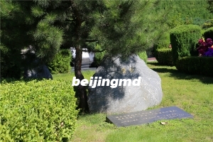 长青园骨灰林班车路线