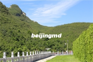 九公山长城纪念林地址在哪怎么去？陵园班车预约电话是多少？
