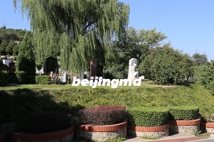 廊坊万桐园墓地年限多少,多久交一次管理费