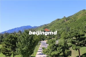 北京市海淀区温泉墓地多少钱？