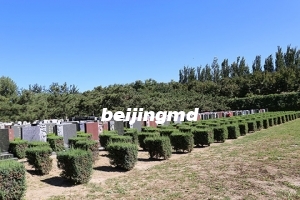 泰康九公山墓地位置