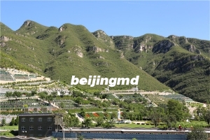 北京丰台区有多少家墓地？哪家墓地价格便宜些？