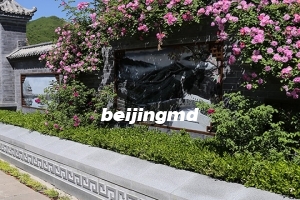 桃峰陵园的环境怎么样上风上水如何？