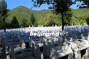 官厅中华永久陵园归属哪个地区