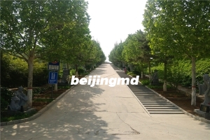 北京凤凰山陵园的价格