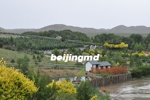 桃峰陵园班车电话号码是多少？桃峰陵园地址怎么去班车如何预约？
