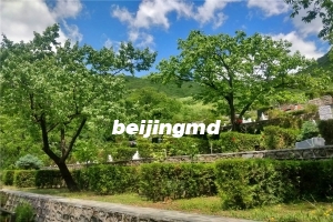 佛山陵园墓地价格查询