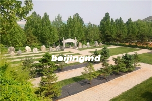 万佛华侨陵园清明班车