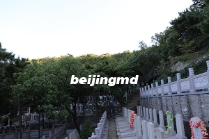 北京太子峪公墓价格贵吗，太子峪陵园价格一览？